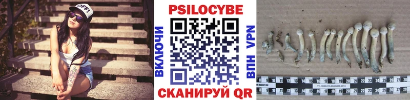 МЕГА маркетплейс Саяногорск Галлюциногенные грибы Magic Shrooms