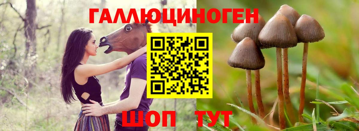 Саяногорск  Галлюциногенные грибы мухоморы  Вход с VPN 