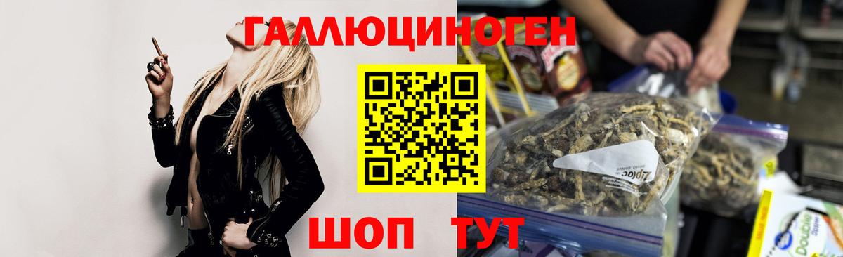 Галлюциногенные грибы Cubensis Саяногорск